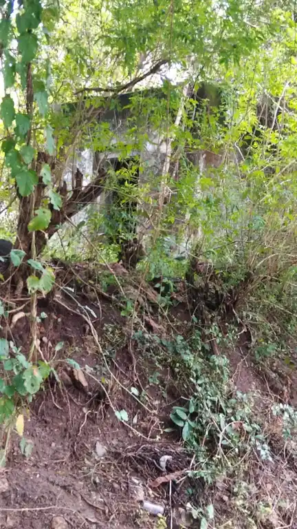 Arulmigu Velayuthasamy Temple, Avalappampatti - 642132 அருள்மிகு வேலாயுதசாமி திருக்கோயில், Avalappampatti - 642132, Coimbatore - Ancient Temple Architecture and History Image 3