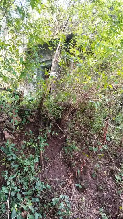 Arulmigu Velayuthasamy Temple, Avalappampatti - 642132 அருள்மிகு வேலாயுதசாமி திருக்கோயில், Avalappampatti - 642132, Coimbatore - Ancient Temple Architecture and History Image 5