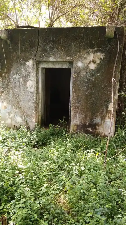 Arulmigu Velayuthasamy Temple, Avalappampatti - 642132 அருள்மிகு வேலாயுதசாமி திருக்கோயில், Avalappampatti - 642132, Coimbatore - Ancient Temple Architecture and History Image 6