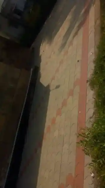 Arulmigu Velayuthaswamy Temple, Tharamangalam Main Road, Tharamangalam - 636502 அருள்மிகு &nbsp;வேலாயுதஸ்வாமி திருக்கோவில்&nbsp;, தாரமங்கலம் மெயின் ரோடு, Tharamangalam - 636502, Salem - Ancient Temple Architecture and History Image 4