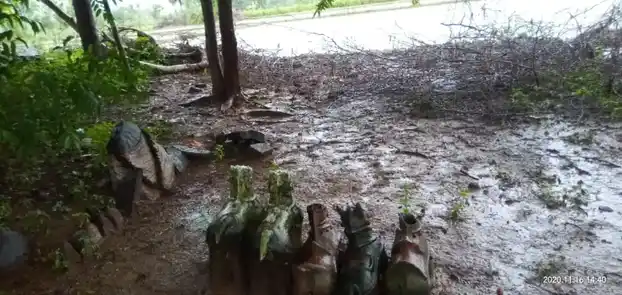Arulmigu Veliyappan Temple, Main Road, Paliyapatu - 606701