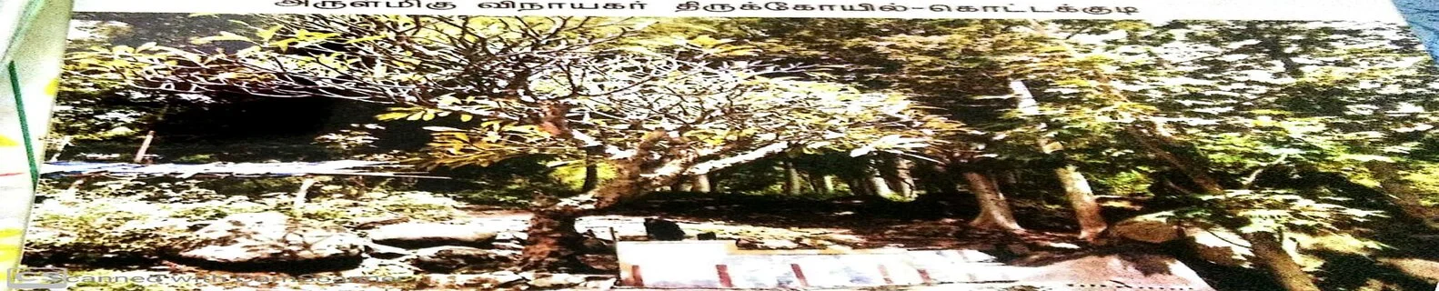 அருள்மிகு வெள்ளை விநாயகர் திருக்கோயில், Kottakudi - 625582 - Main View