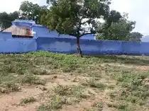 Arulmigu Vellai Vinayagar Temple, Malaiyadikurichi - 627011 அருள்மிகு வெள்ளை விநாயகர் திருக்கோயில், Malaiyadikurichi - 627011, Tenkasi - Ancient Temple Architecture and History Image 6