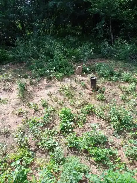 Arulmigu Vellai Vinayagar Temple, V.Periyapatti - 621303