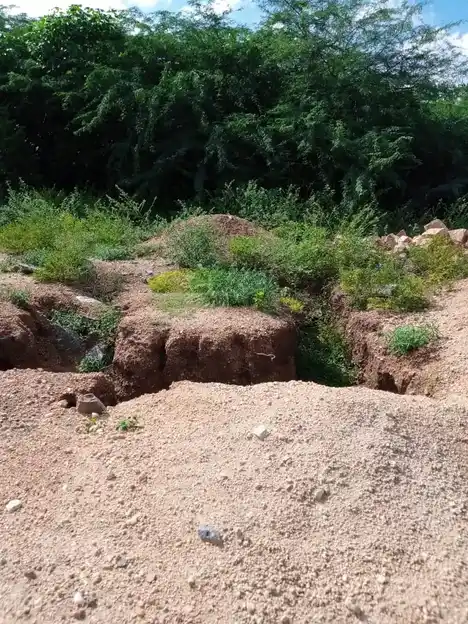 Arulmigu Vellai Vinayagar Temple, V.Periyapatti - 621303 Arulmigu Vellai Vinayagar Temple, V.Periyapatti - 621303, Thiruchirappalli - Ancient Temple Architecture and History Image 2