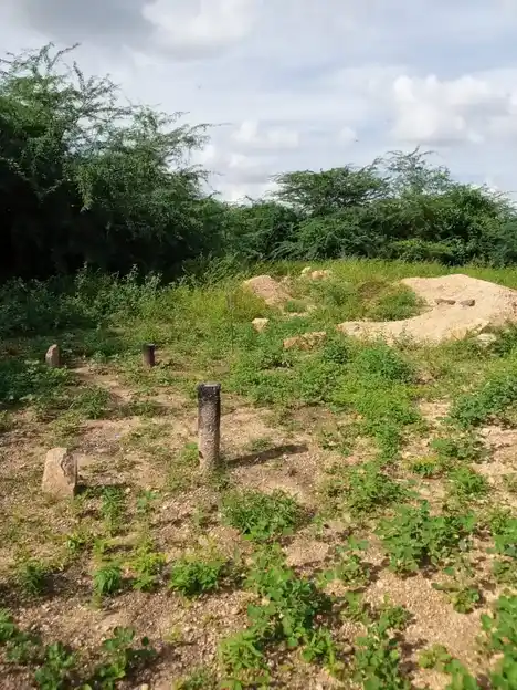 Arulmigu Vellai Vinayagar Temple, V.Periyapatti - 621303 Arulmigu Vellai Vinayagar Temple, V.Periyapatti - 621303, Thiruchirappalli - Ancient Temple Architecture and History Image 4