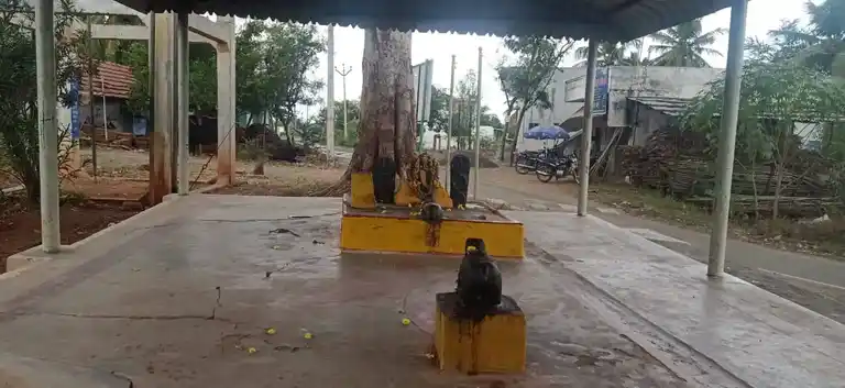 Arulmigu Vellaikarattu Vinayagar Temple, Kullamanayakanpatti - 636304