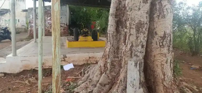 Arulmigu Vellaikarattu Vinayagar Temple, Kullamanayakanpatti - 636304 அருள்மிகு வெள்ளைக்கரட்டு விநாயகர் திருக்கோயில், Kullamanayakanpatti - 636304, Salem - Ancient Temple Architecture and History Image 2