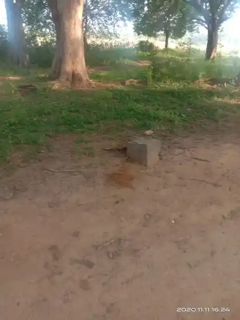 Arulmigu Vellaikovil, Poosaripatty - 624706