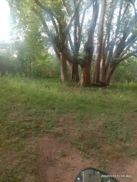 Arulmigu Vellaikovil, Poosaripatty - 624706 அருள்மிகு வெள்ளைக்கோயில்-ஆர்.புதுக்கோட்டை, வேடசந்தூர் வட்டம், திண்டுக்கல் கோயில், Poosaripatty - 624706, Dindigul - Ancient Temple Architecture and History Image 5