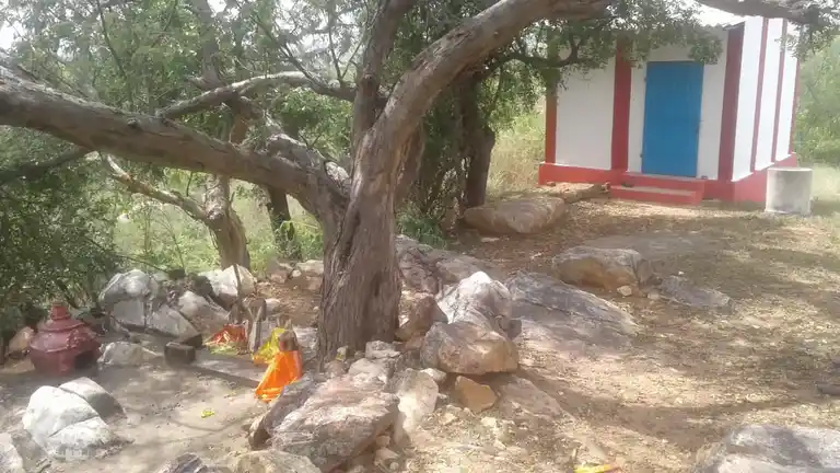 Arulmigu Vellaiperumal Temple, Adaiyur - 636501 அருள்மிகு வெள்ளைப்பெருமாள் திருக்கோயில், Adaiyur - 636501, Salem - Ancient Temple Architecture and History Image 4