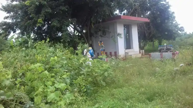 Arulmigu Vellaiveera Ayyanar Temple, Neerathan - 625218 அருள்மிகு வெள்ளைவீரஅய்யனார் திருக்கோயில், Neerathan - 625218, Madurai - Ancient Temple Architecture and History Image 3