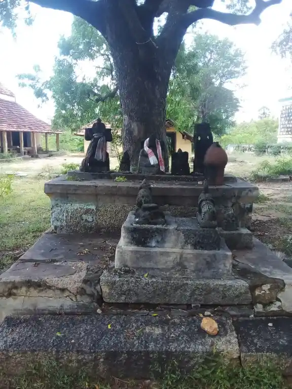 Arulmigu Vellaiyappa Swamigal Madam, Thirukkalampur - 622403 அருள்மிகு வெள்ளையப்பசுவாமி மடம், Thirukkalampur - 622403, Pudukkottai - Ancient Temple Architecture and History Image 3