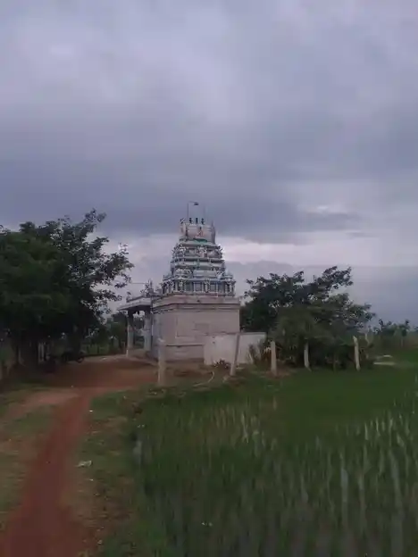 Arulmigu Vellanthangi Amman Temple, Assur - 620013 அருள்மிகு வெள்ளந்தாங்கி அம்மன் திருக்கோயில், Assur - 620013, Thiruchirappalli - Ancient Temple Architecture and History Image 4