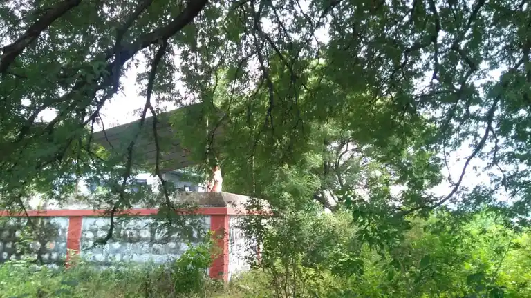 Arulmigu Vellanthangiamman Temple, Thirupeyar - 621107 Arulmigu Vellanthangiamman Temple, Thirupeyar - 621107, Perambalur - Ancient Temple Architecture and History Image 5