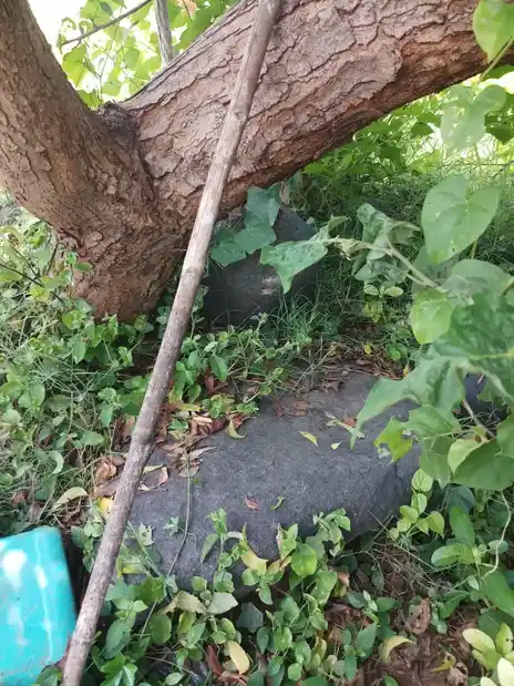 Arulmigu Velleswarar Temple, Anaiyampatti - 636105