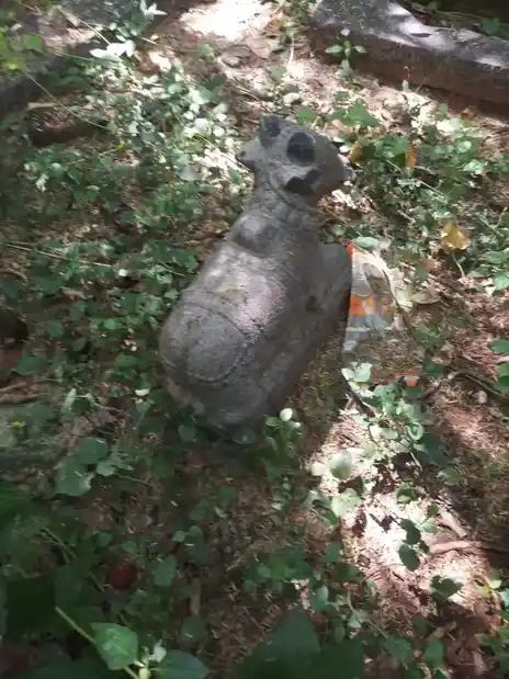 Arulmigu Velleswarar Temple, Anaiyampatti - 636105 அருள்மிகு வெள்ளீஸ்வரர் திருக்கோயில், Anaiyampatti - 636105, Salem - Ancient Temple Architecture and History Image 5