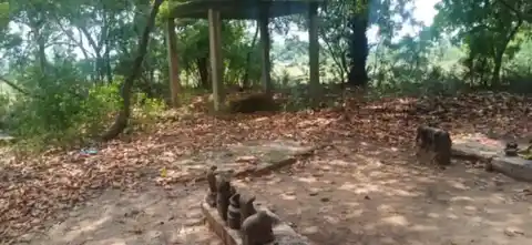 Arulmigu Velli Malai Ayyanar Temple, Kurukattur - 628207 அருள்மிகு வெள்ளிமலை அய்யனார் திருக்கோயில், Kurukattur - 628207, Thoothukudi - Ancient Temple Architecture and History Image 4