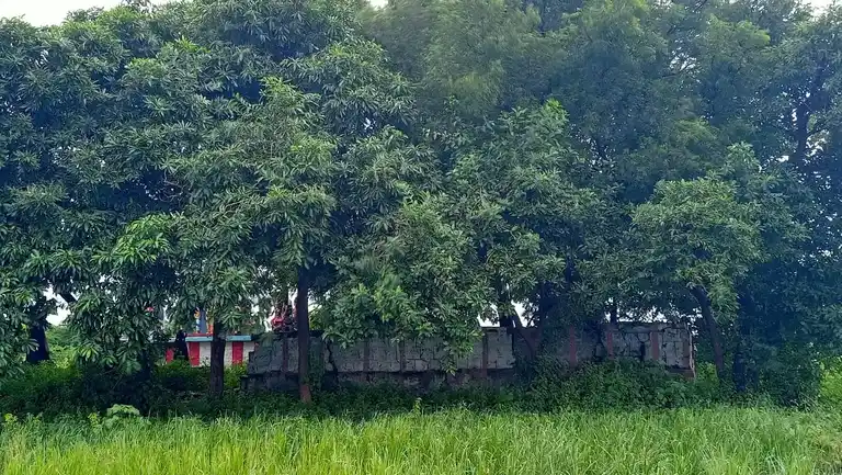 Arulmigu Vellimalai Temple, Alligundam - 625527