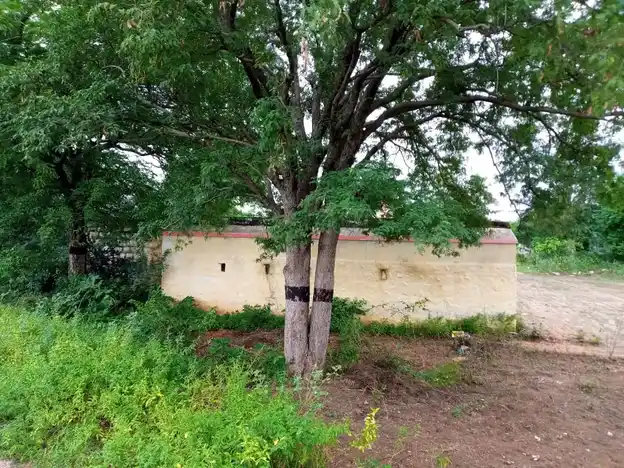 Arulmigu Vellivadi Ondiveerachamy Temple, Nallampillai - 621302 Arulmigu vellivadi Ondiveerachamy Temple, Nallampillai - 621302, Thiruchirappalli - Ancient Temple Architecture and History Image 3