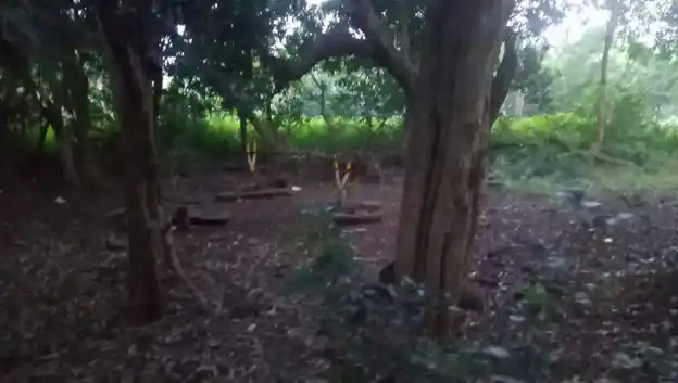 Arulmigu Vellodu Ayyanar Temple, Silambakkonpatti - 625103