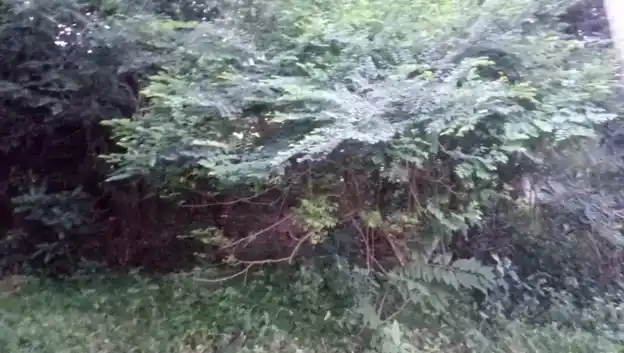 Arulmigu Vellodu Ayyanar Temple, Silambakkonpatti - 625103 அருள்மிகு வெள்ளோடு அய்யனார் கோயில், Silambakkonpatti - 625103, Madurai - Ancient Temple Architecture and History Image 2