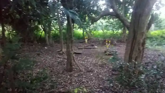 Arulmigu Vellodu Ayyanar Temple, Silambakkonpatti - 625103 அருள்மிகு வெள்ளோடு அய்யனார் கோயில், Silambakkonpatti - 625103, Madurai - Ancient Temple Architecture and History Image 3