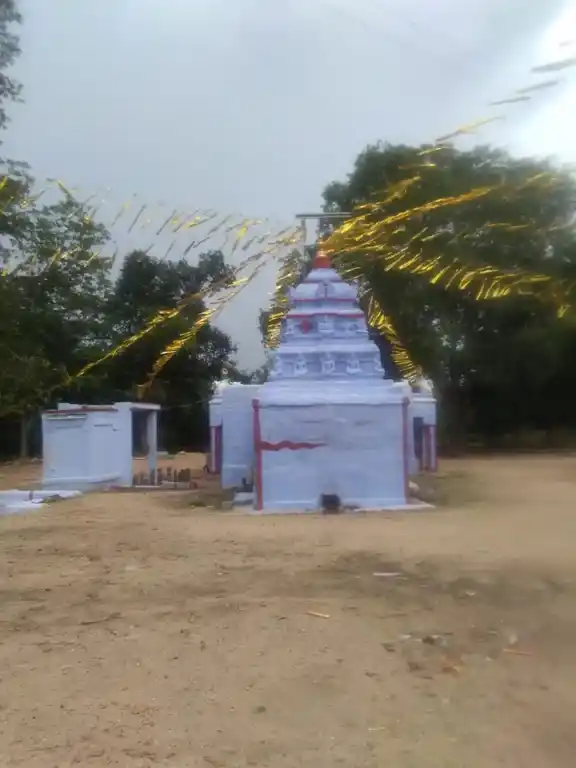 Arulmigu Velloothu Perumal Temple, Arasiramani Bit.1 - 636308 அருள்மிகு வெள்ளுற்று பெருமாள் திருக்கோயில், Arasiramani Bit.1 - 636308, Salem - Ancient Temple Architecture and History Image 4