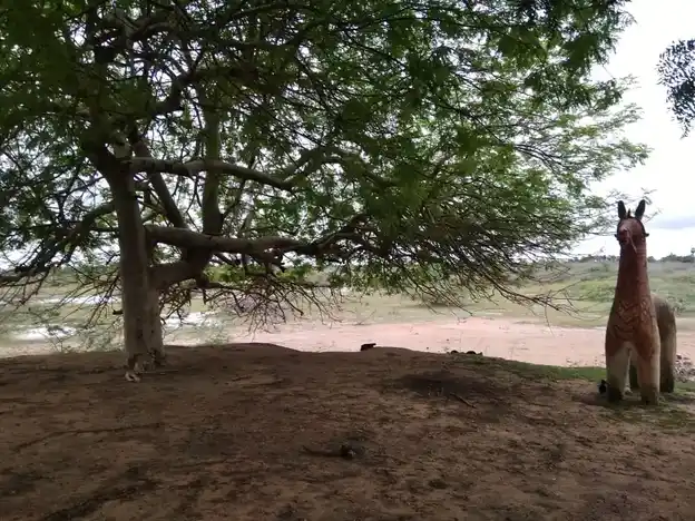 Arulmigu Veludaiya Ayyanar Temple, Kaanadu - 614621