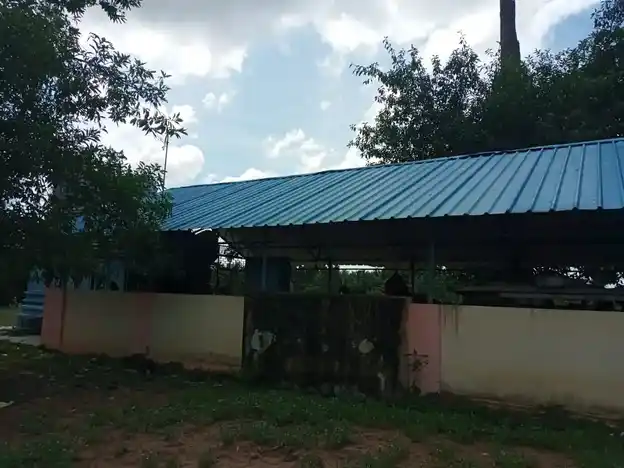 Arulmigu Vemanakiyamman Temple, Adanoor Karuppamanai - 614804 அருள்மிகு வீமநாயகியம்மன் திருக்கோயில், Adanoor Karuppamanai - 614804, Thanjavur - Ancient Temple Architecture and History Image 5