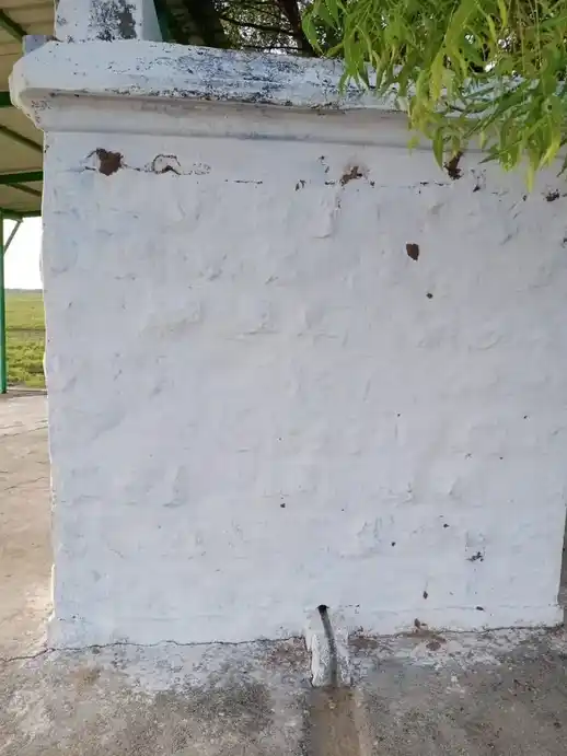 Arulmigu Vembadi Sastha Temple, Village End, Udayaneri - 627359 அருள்மிகு வேம்படி சாஸ்தா திருக்கோயில், Village End, உதயநேரி - 627359, Tirunelveli - Ancient Temple Architecture and History Image 2