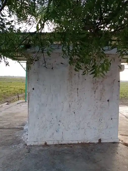 Arulmigu Vembadi Sastha Temple, Village End, Udayaneri - 627359 அருள்மிகு வேம்படி சாஸ்தா திருக்கோயில், Village End, உதயநேரி - 627359, Tirunelveli - Ancient Temple Architecture and History Image 4