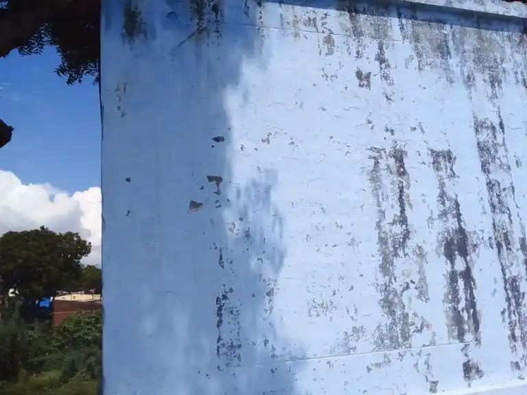 Arulmigu Vembadi Vinayagar Temple, Chinnasuraikaipatti, Rajapalayam - 626117