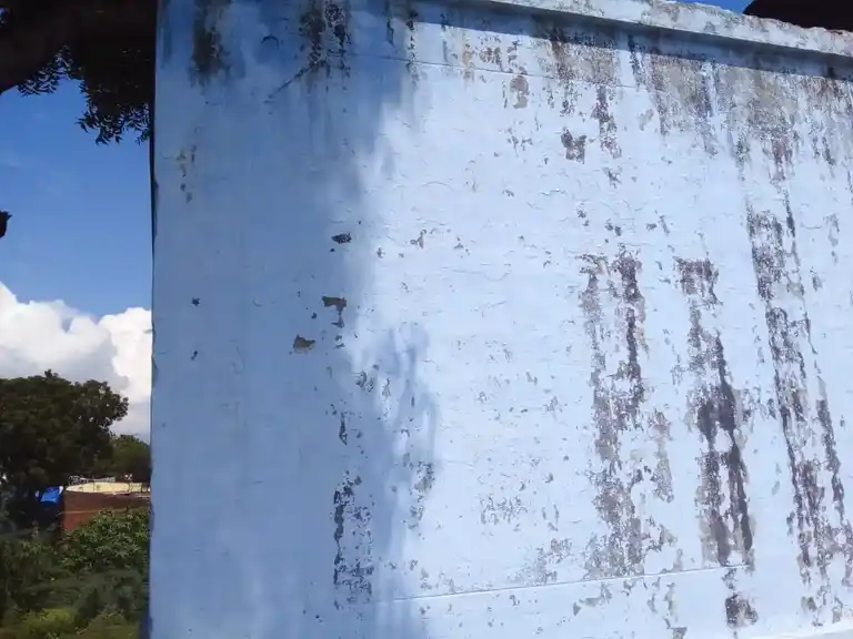 Arulmigu Vembadi Vinayagar Temple, Chinnasuraikaipatti, Rajapalayam - 626117 அருள்மிகு வேம்படி விநாயகர் திருக்கோயில், சின்னசுரைக்காய்பட்டி, இராஜபாளையம் நகர் - 626117, Virudhunagar - Ancient Temple Architecture and History Image 2