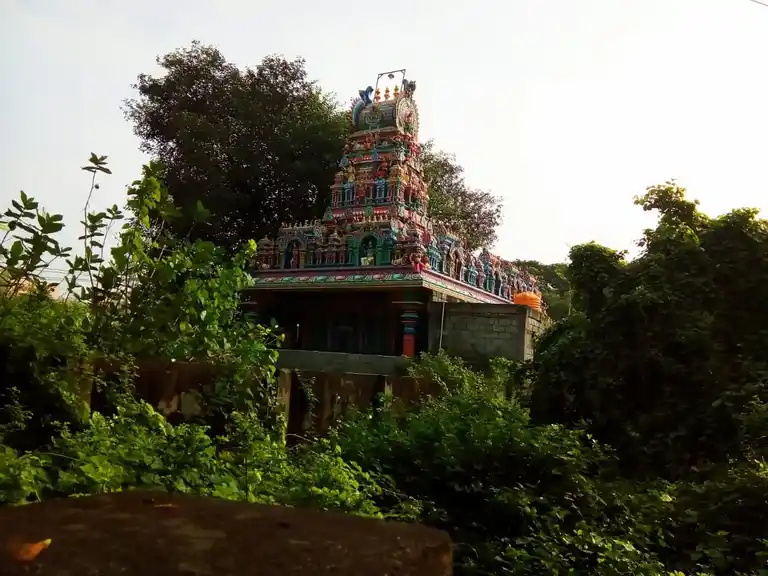 Arulmigu Vembuli Amman Temple, Nolambur, Chennai - 600037 அருள்மிகு வேம்புலியம்மன் திருக்கோயில், நொலம்பூர், சென்னை - 600037, Chennai - Ancient Temple Architecture and History Image 3