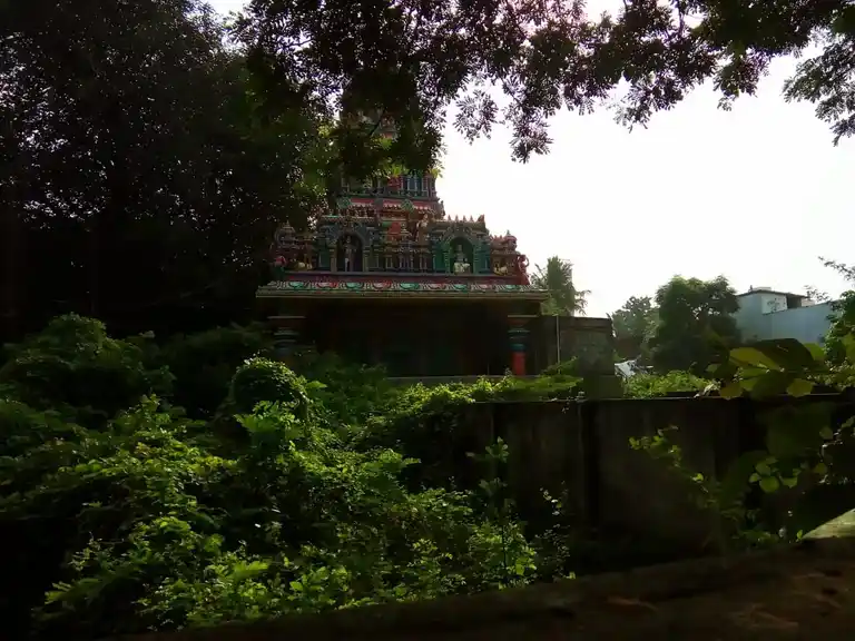 Arulmigu Vembuli Amman Temple, Nolambur, Chennai - 600037 அருள்மிகு வேம்புலியம்மன் திருக்கோயில், நொலம்பூர், சென்னை - 600037, Chennai - Ancient Temple Architecture and History Image 4