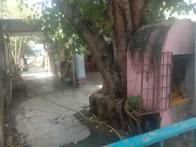 Arulmigu Vembuli Mariyamman Temple, Manapakkam - 600125 அருள்மிகு வேம்புலி மாரியம்மன் திருக்கோயில், Manapakkam - 600125, Chennai - Ancient Temple Architecture and History Image 3