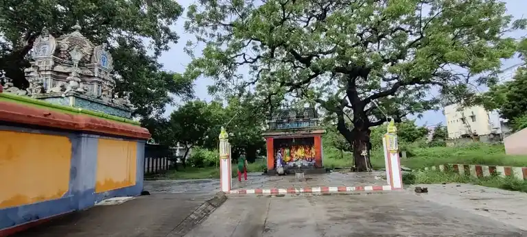 Arulmigu Vembuliamman Temple, Palavanthangal, Chennai - 600114 அருள்மிகு வேம்புலியம்மன் திருக்கோயில், பழவந்தாங்கல், சென்னை - 600114, Chennai - Ancient Temple Architecture and History Image 2