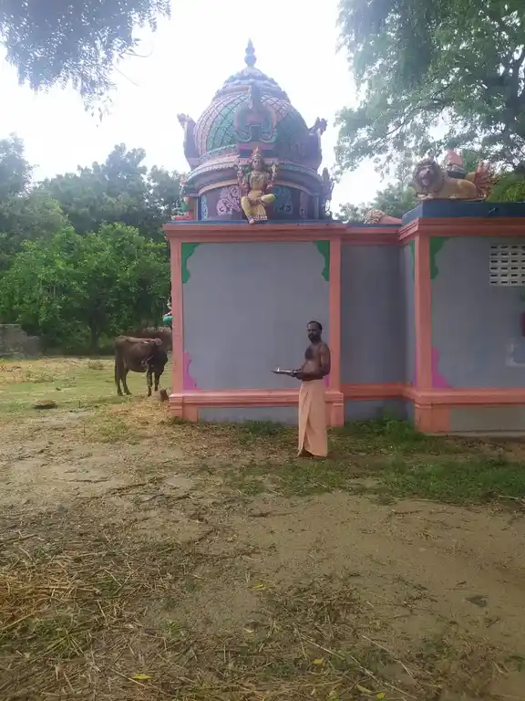 Arulmigu Vembuliyamman Temple, Andampallam - 606804 அருள்மிகு வேம்புலியம்மன் திருக்கோயில், Andampallam - 606804, Tiruvannamalai - Ancient Temple Architecture and History Image 3