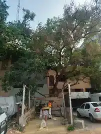 Arulmigu Vembuparasathi Temple, Town Hall, Coimbatore - 641001