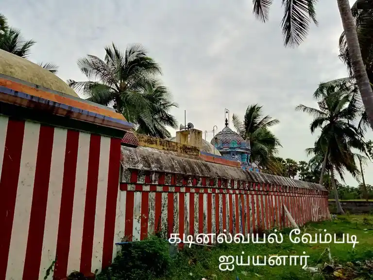 Arulmigu Vempadi Ayyanar Temple, Kadinavayal - 614707 Temple