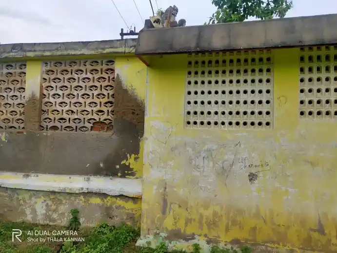 Arulmigu Vempadi Maha Mariamman Temple, Edayar - 608303 Temple