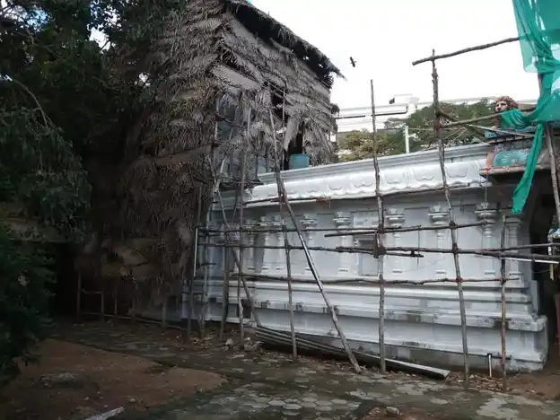 Arulmigu Vempuli Amman Temple, Alantur, Chennai - 600016 அருள்மிகு வேம்புலி அம்மன் திருக்கோயில், ஆலந்தூர், சென்னை - 600016, Chennai - Ancient Temple Architecture and History Image 4