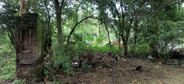 Arulmigu Vengadajalapathy Temple, Nadappur - 610101 Arulmigu Vengadajalapathy Temple, Nadappur - 610101, Thiruvarur - Ancient Temple Architecture and History Image 2