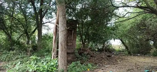Arulmigu Vengadajalapathy Temple, Nadappur - 610101 Arulmigu Vengadajalapathy Temple, Nadappur - 610101, Thiruvarur - Ancient Temple Architecture and History Image 5