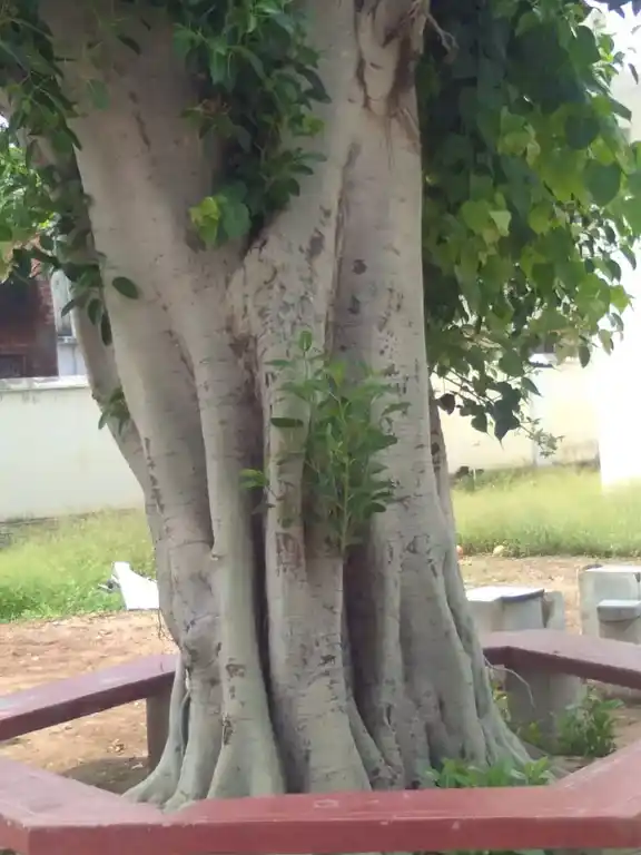 Arulmigu Vengadasalapathi Temple, Puthupalayam - 626117 அருள்மிகு வெங்கடாசலபதி திருக்கோயில், புதுப்பாளையம் - 626117, Virudhunagar - Ancient Temple Architecture and History Image 4