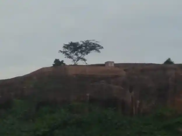 Arulmigu Vengadasalapathy Temple, K.Puliankulam - 625512