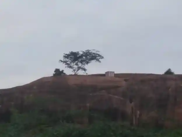 Arulmigu Vengadasalapathy Temple, K.Puliankulam - 625512 அருள்மிகு வெங்கடாஜலபதி திருக்கோயில், K.Puliankulam - 625512, Madurai - Ancient Temple Architecture and History Image 4