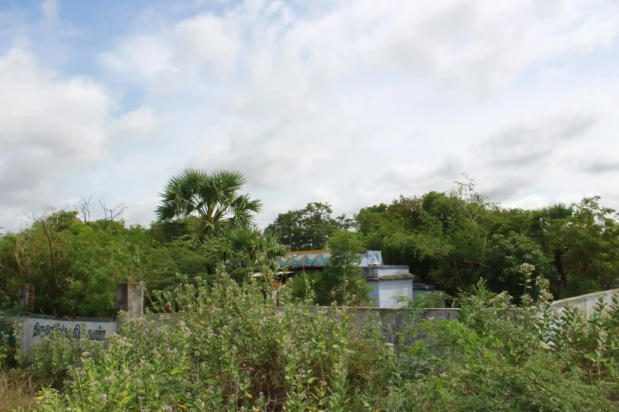 Arulmigu Vengalamudaiyar Sastha Temple, Street End, Karaieruppu - 627357 அருள்மிகு வெங்கலமுடையார் சாஸ்தா திருக்கோயில், தெருவின் முடிவில், கரையிருப்பு - 627357, Tirunelveli - Ancient Temple Architecture and History Image 2