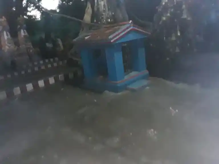 Arulmigu Vengalamudi Ayyanaar Temple, Kombaipatti - 624304 Arulmigu Vengalamudi Ayyanaar Temple, Kombaipatti - 624304, Dindigul - Ancient Temple Architecture and History Image 7